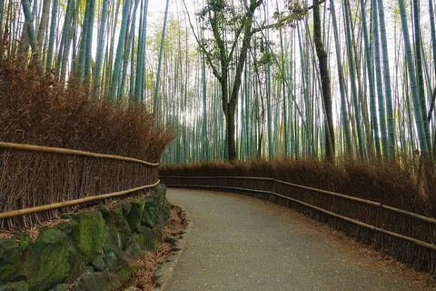 一人旅の旅行ガイド